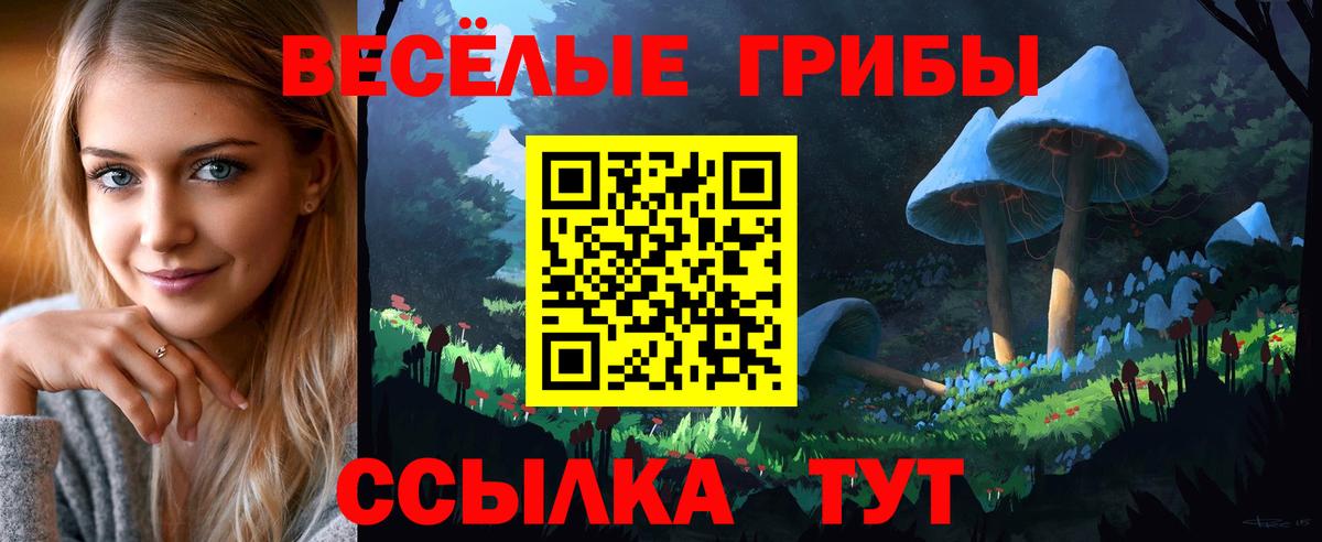 Ртищево  Галлюциногенные грибы Psilocybine cubensis  Вход с VPN 