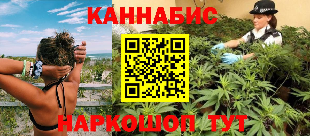 Конопля сатива Ртищево